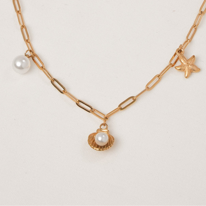 Seashell Necklace